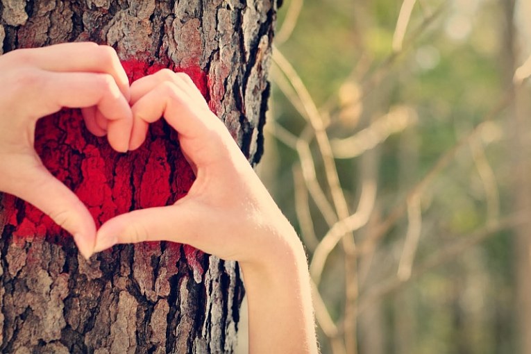 Ruke u obliku srca na drvetu - Ljubav